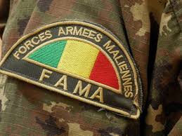 Surveillance et sécurisation du territoire : Les FAMa ont récupéré plusieurs matériels dans le secteur d'Indelimane. 